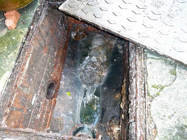 Drains blocked by waste
